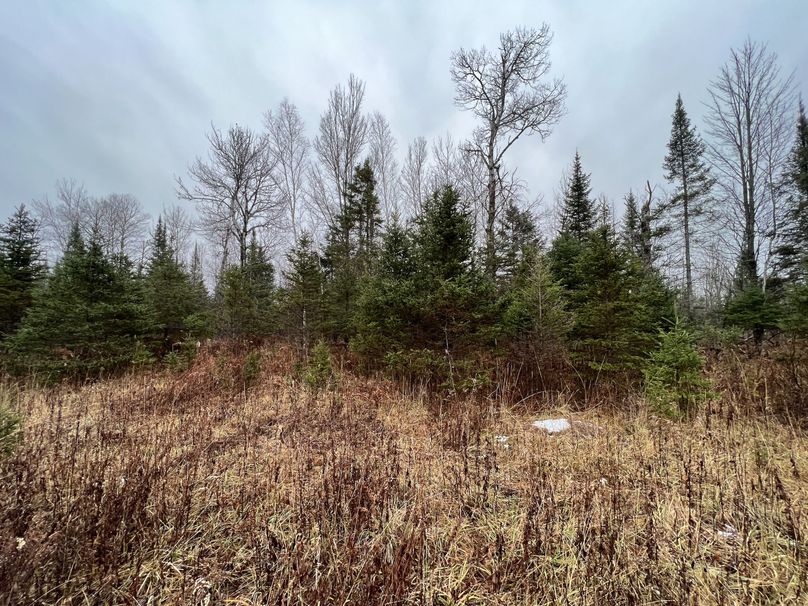 Delta_MI_83.9_Williams-08