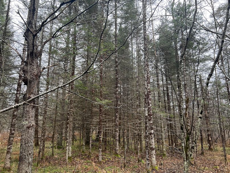 Delta_MI_83.9_Williams-18