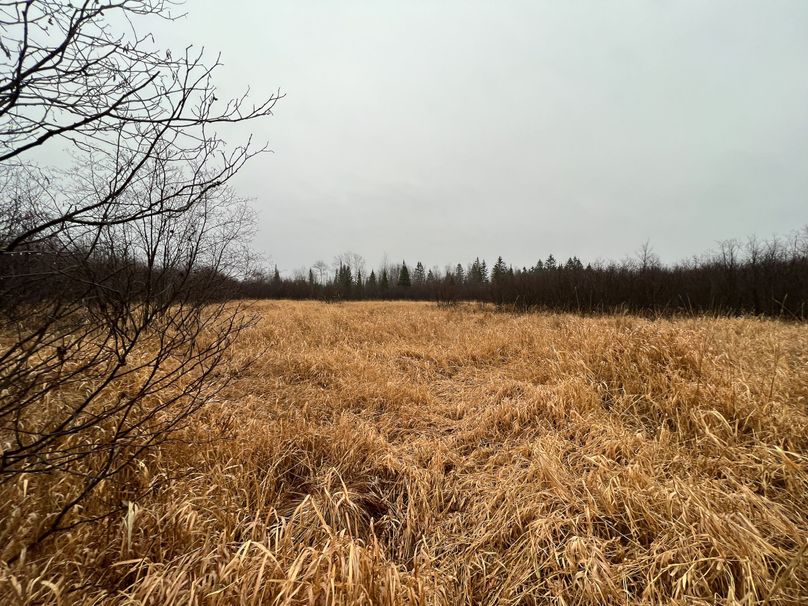 Delta_MI_83.9_Williams-12