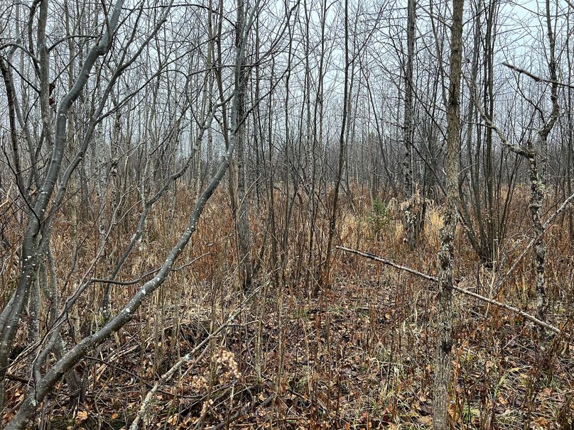 Delta_MI_83.9_Williams-10