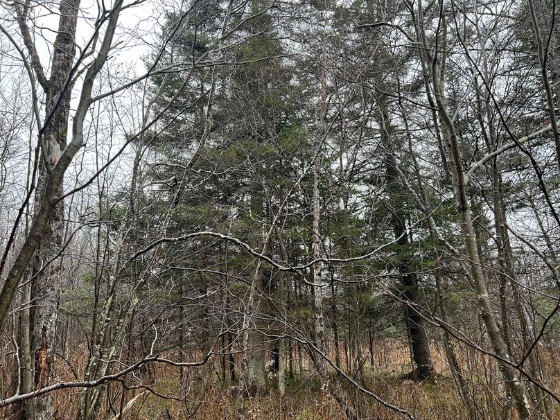 Delta_MI_83.9_Williams-17