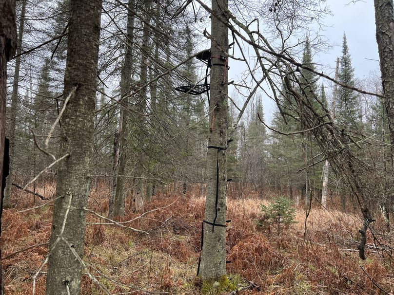 Delta_MI_83.9_Williams-22