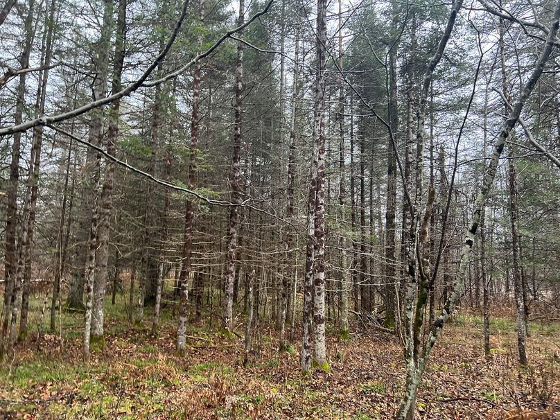 Delta_MI_83.9_Williams-19