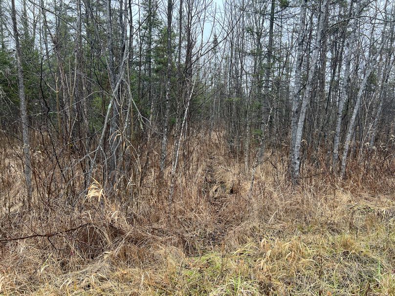 Delta_MI_83.9_Williams-03