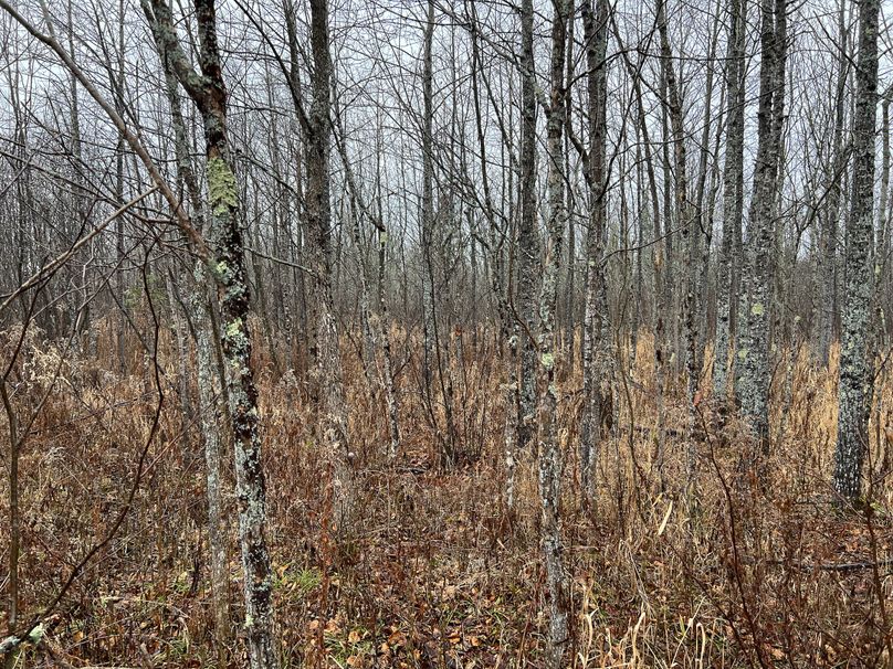 Delta_MI_83.9_Williams-11