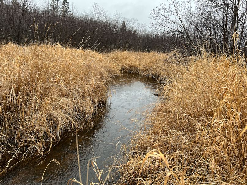 Delta_MI_83.9_Williams-14