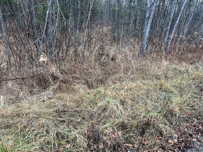 Delta_MI_83.9_Williams-04