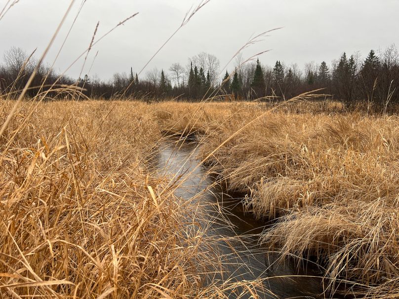 Delta_MI_83.9_Williams-15