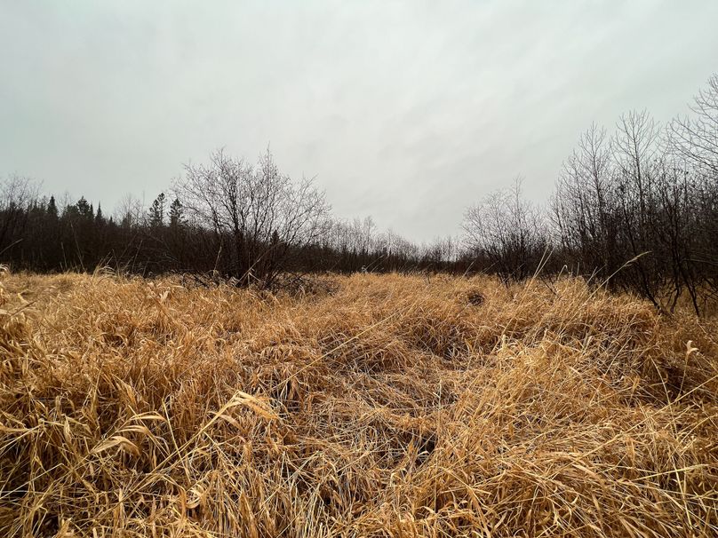 Delta_MI_83.9_Williams-13