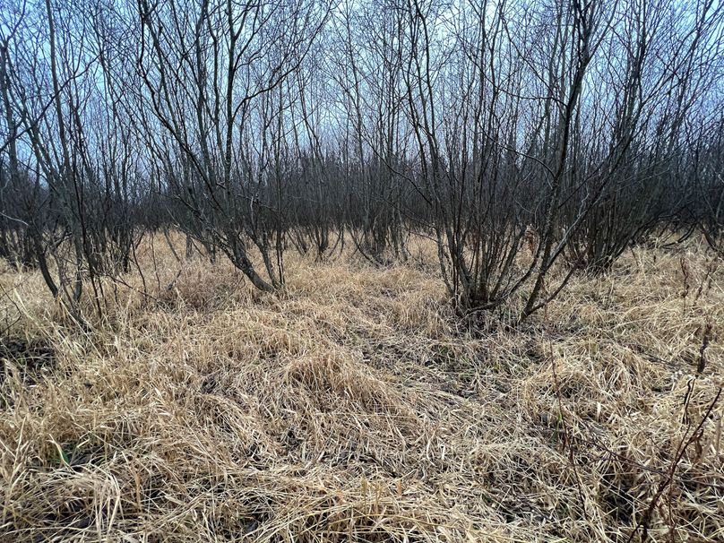 Delta_MI_83.9_Williams-16