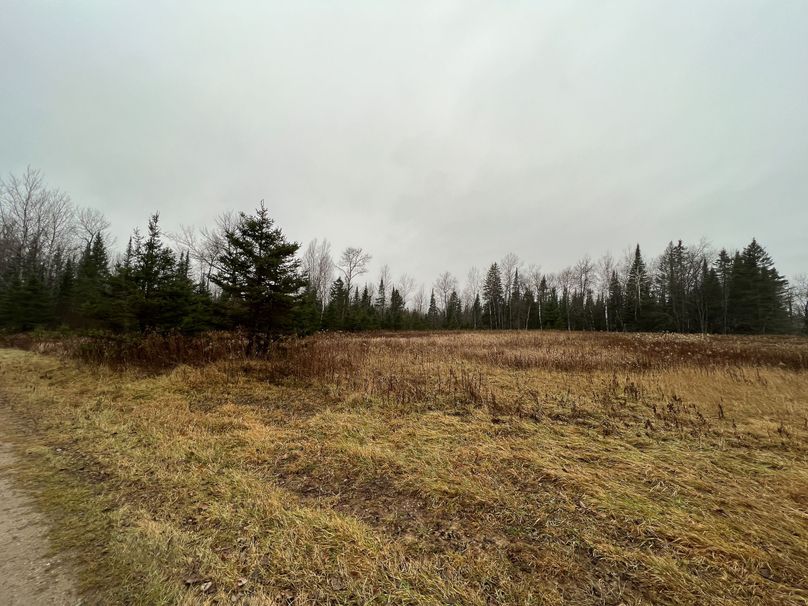 Delta_MI_83.9_Williams-06