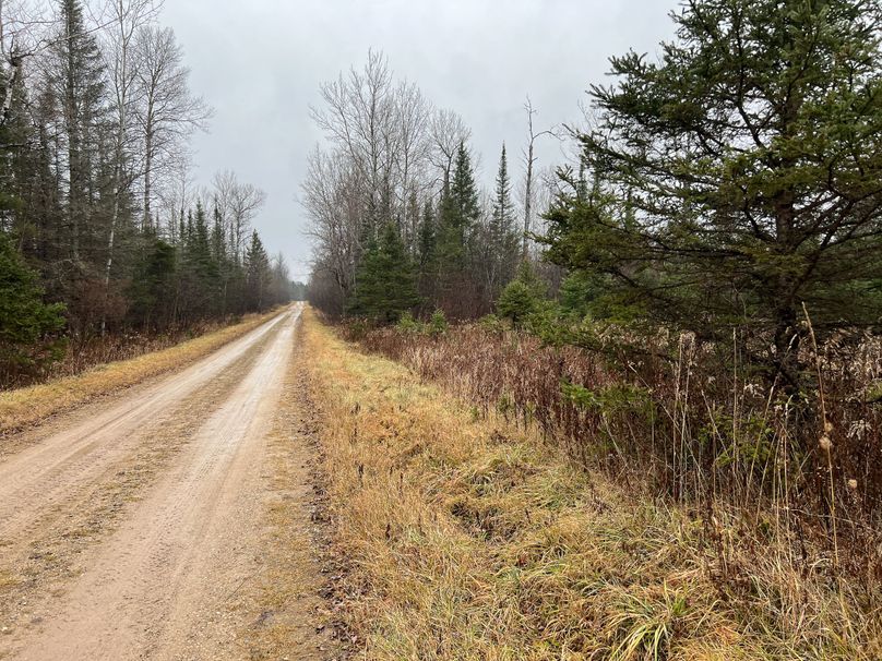 Delta_MI_83.9_Williams-07