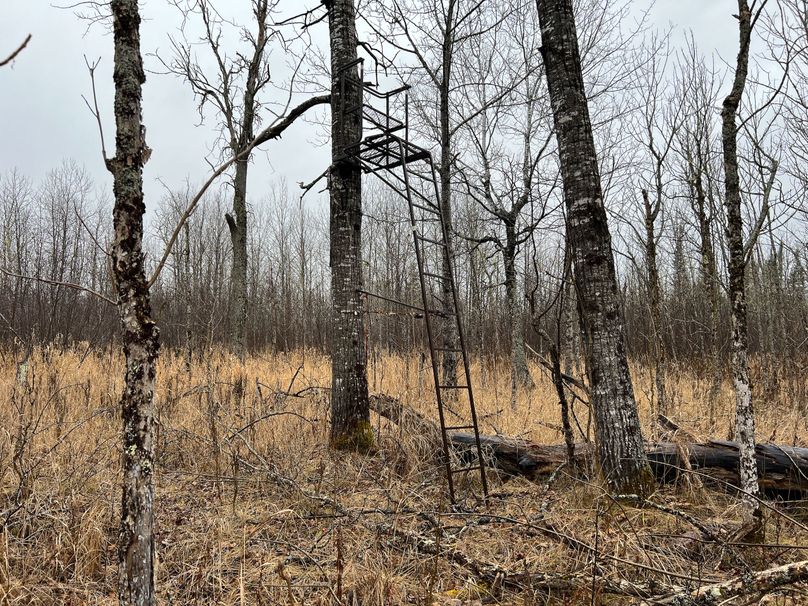 Delta_MI_83.9_Williams-09