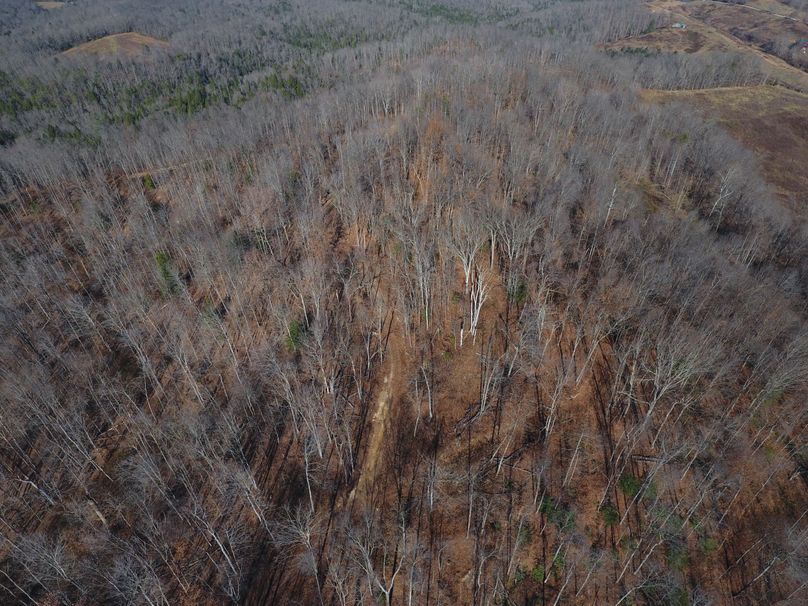 DJI_0214