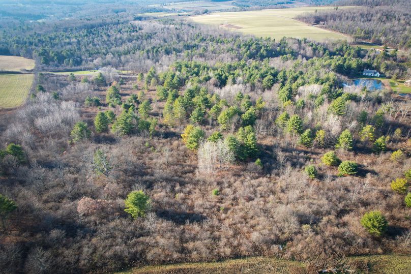 Tioga_30_Zeuner photo 20