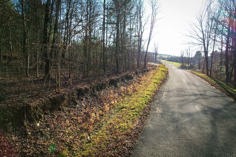 Tioga_30_Zeuner photo 10