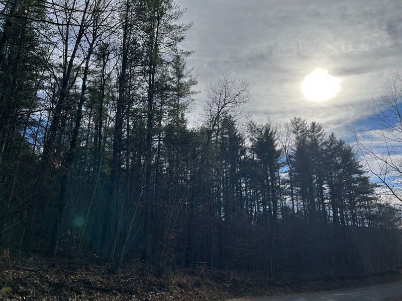 Tioga_30_Zeuner photo 31