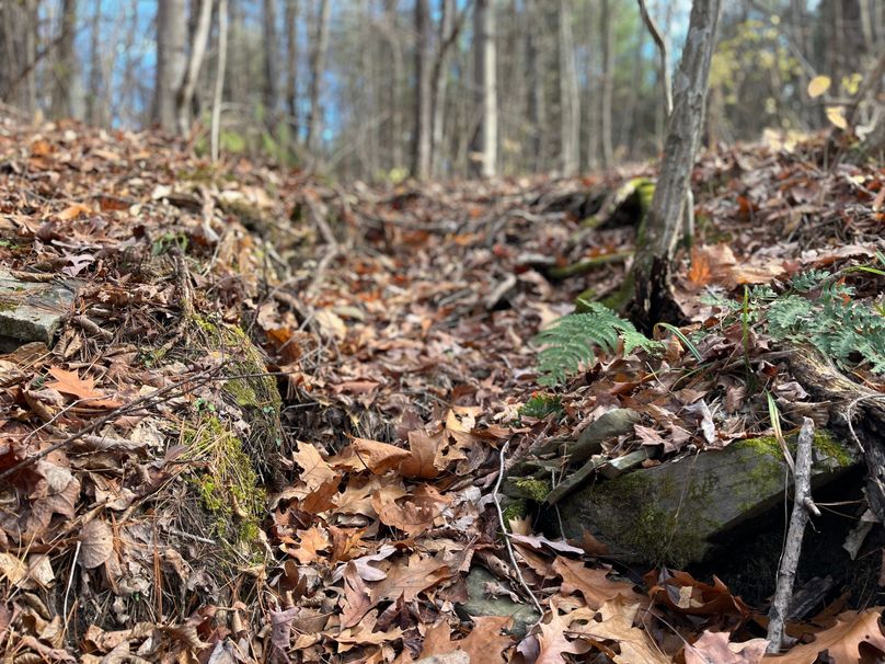 Tioga_30_Zeuner photo 5