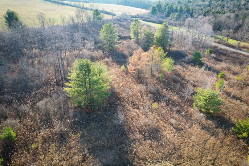 Tioga_30_Zeuner photo 14