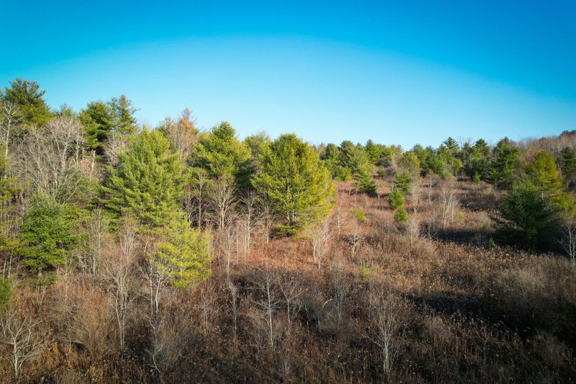 Tioga_30_Zeuner photo 16