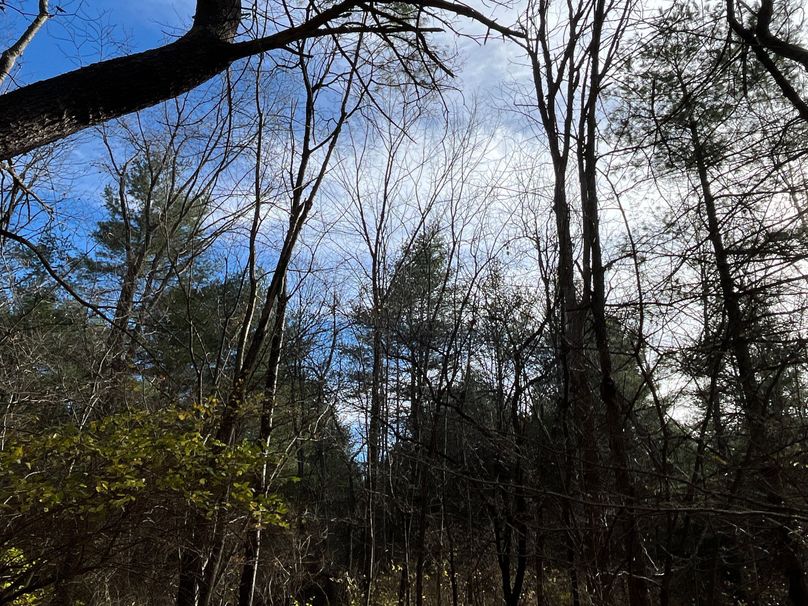 Tioga_30_Zeuner photo 29