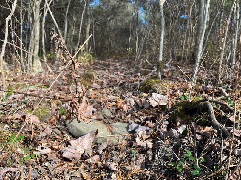 Tioga_30_Zeuner Photo 49