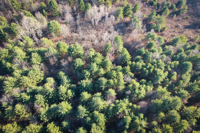 Tioga_30_Zeuner photo 18