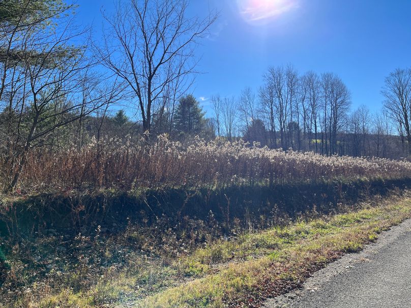 Tioga_30_Zeuner photo 6