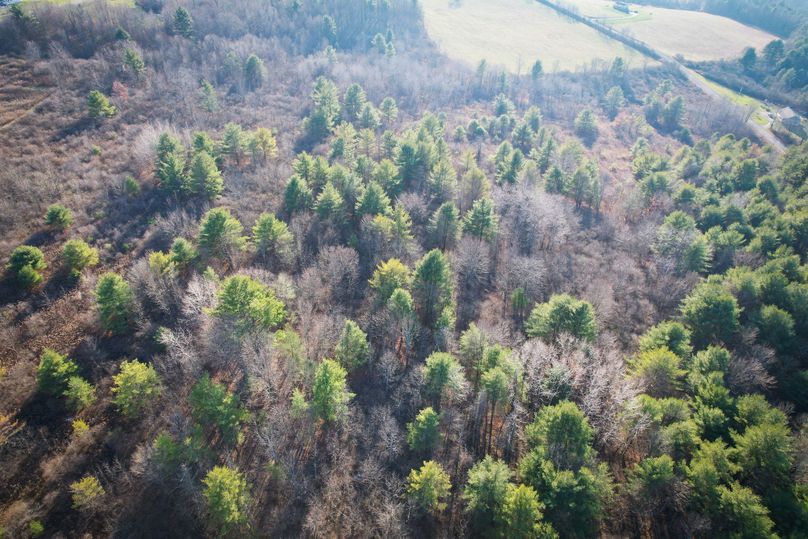 Tioga_30_Zeuner photo 19