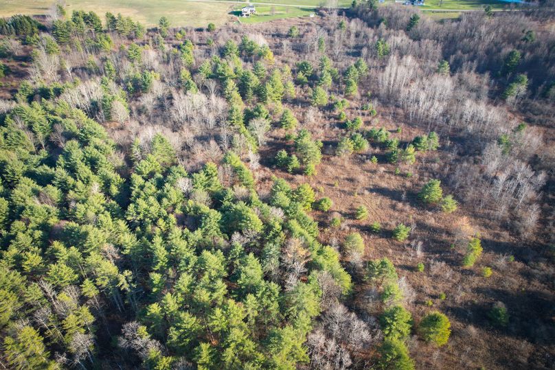 Tioga_30_Zeuner photo 17