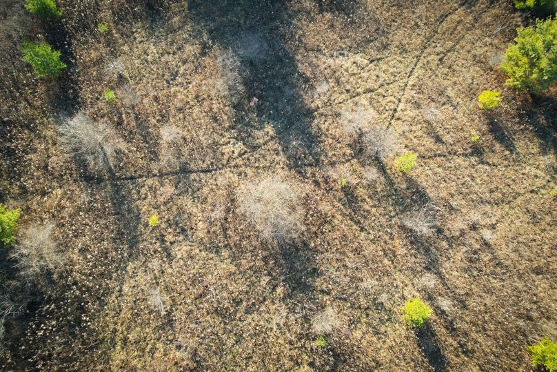 Tioga_30_Zeuner photo 38