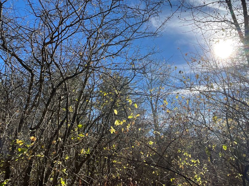 Tioga_30_Zeuner photo 27