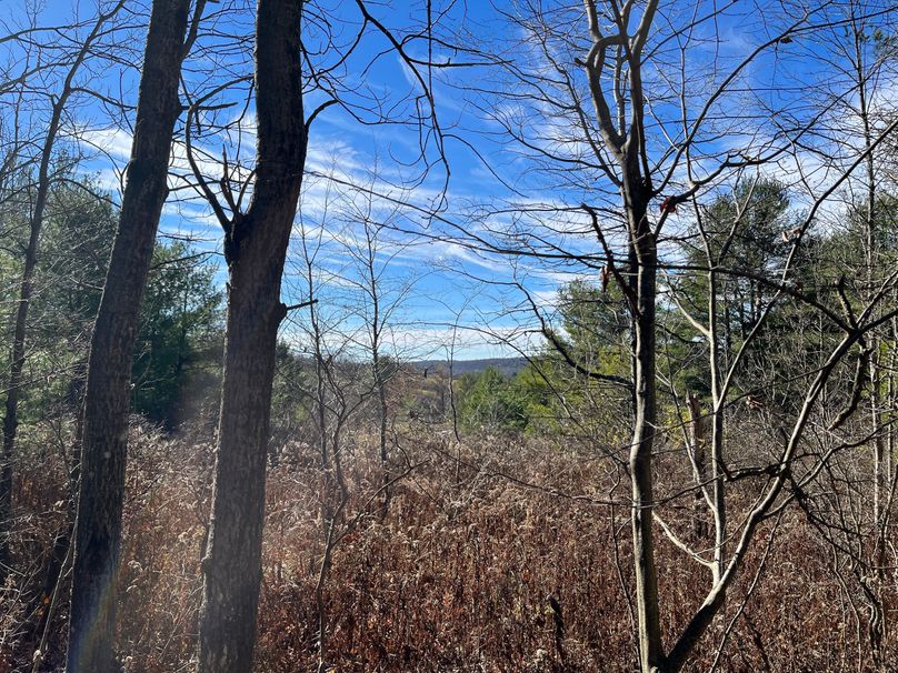 Tioga_30_Zeuner photo 1