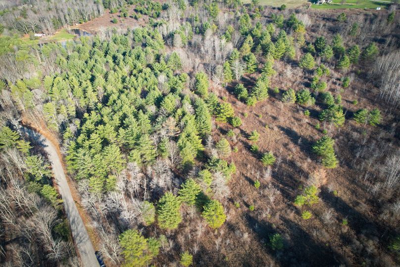 Tioga_30_Zeuner photo 12