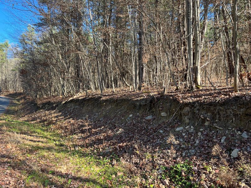 Tioga_30_Zeuner photo 8