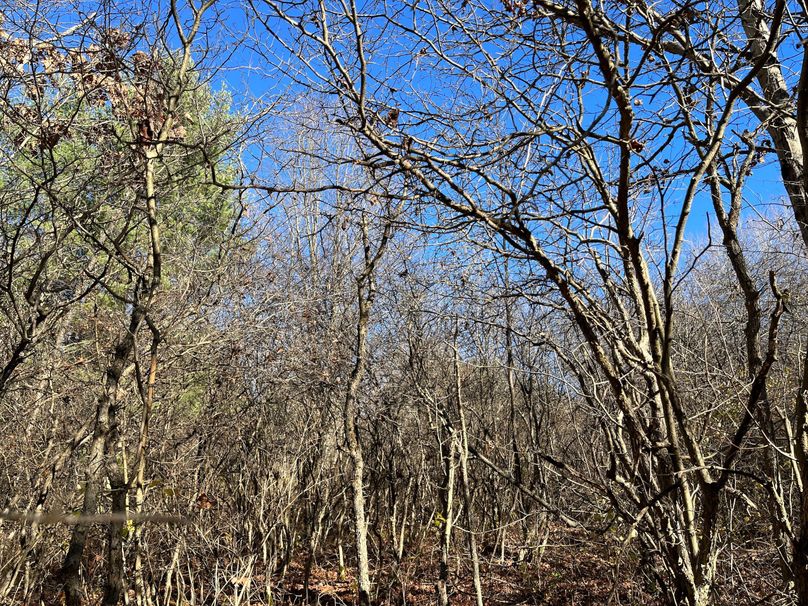 Tioga_30_Zeuner Photo 47