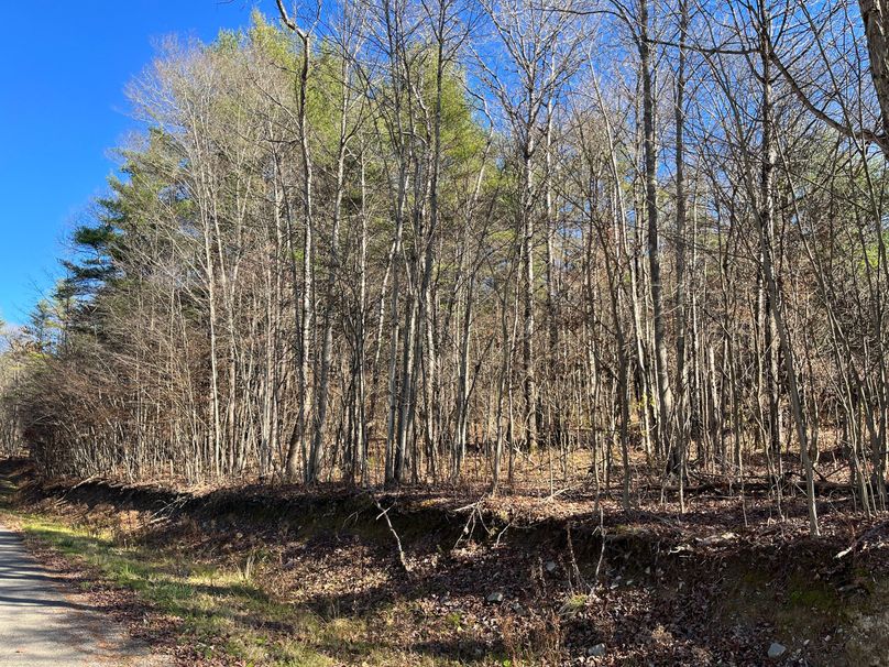 Tioga_30_Zeuner photo 9