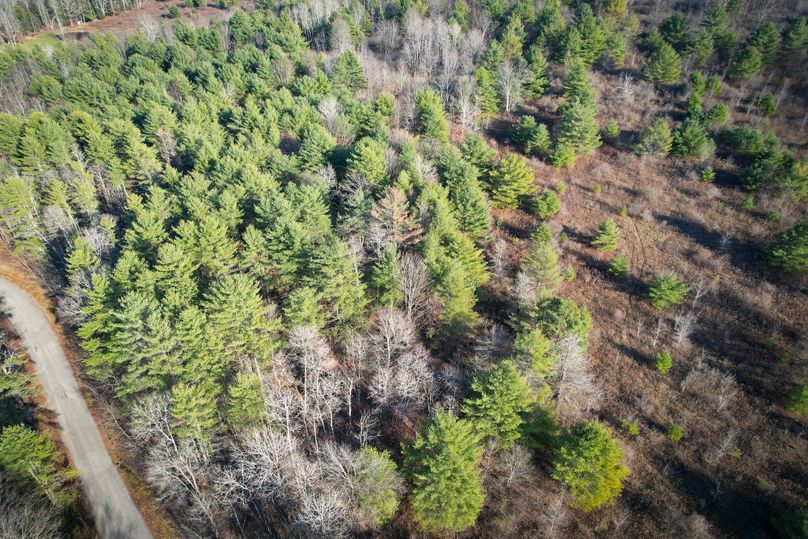 Tioga_30_Zeuner photo 40