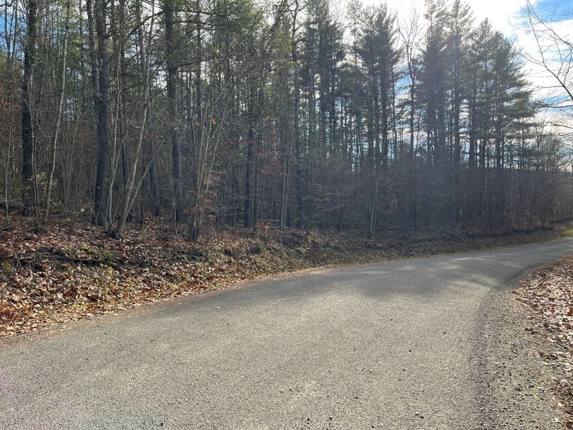 Tioga_30_Zeuner photo 32