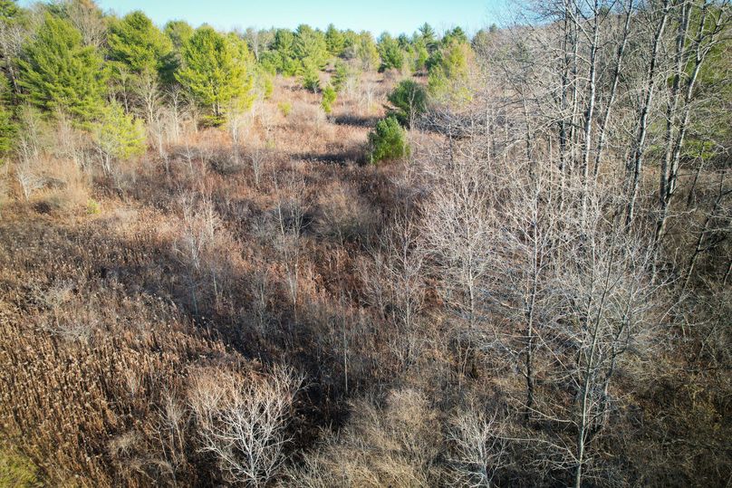 Tioga_30_Zeuner photo 37