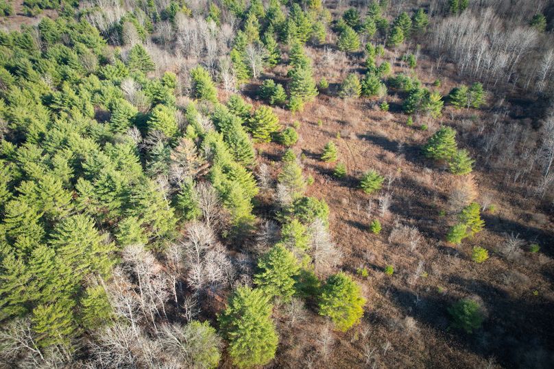 Tioga_30_Zeuner photo 25