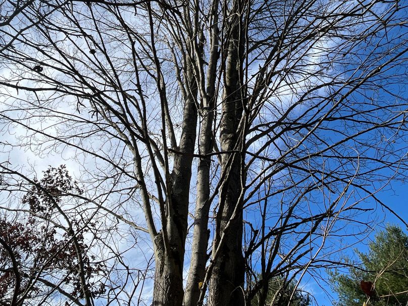 Tioga_30_Zeuner Photo 50