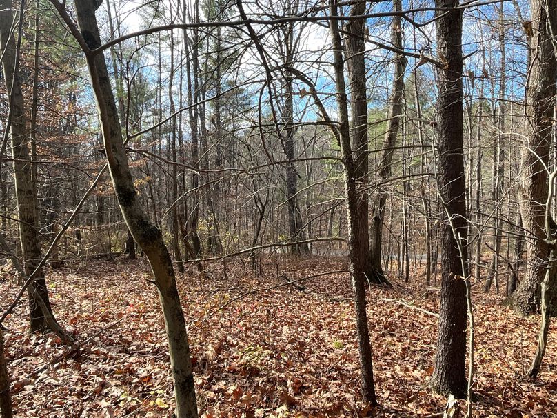 Tioga_30_Zeuner photo 35