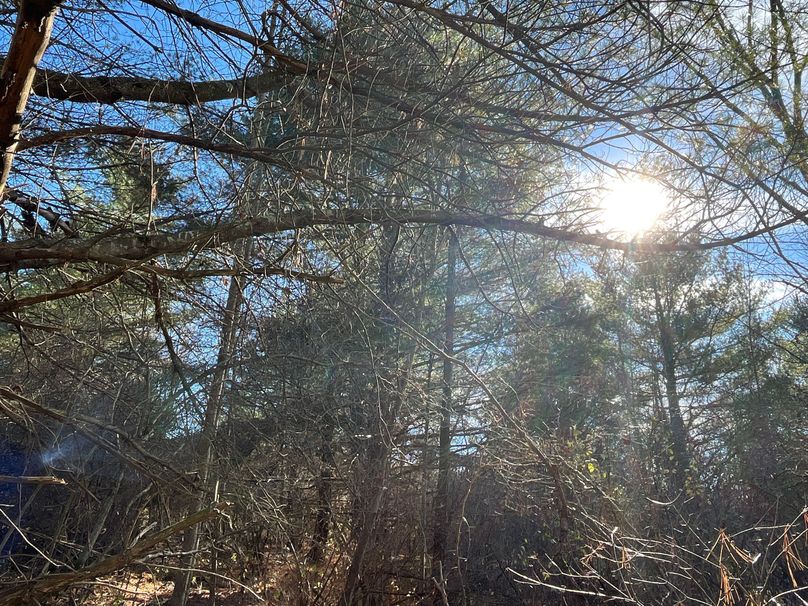 Tioga_30_Zeuner photo 26