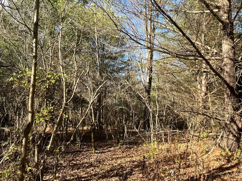 Tioga_30_Zeuner photo 28