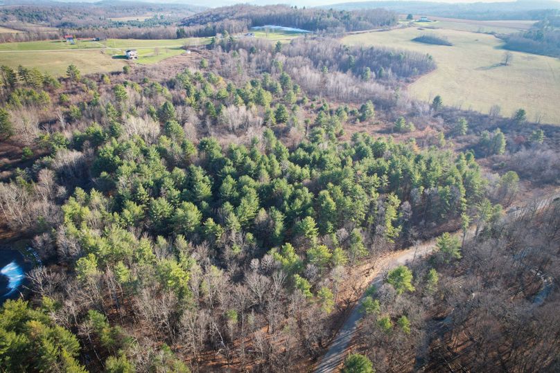 Tioga_30_Zeuner photo 44