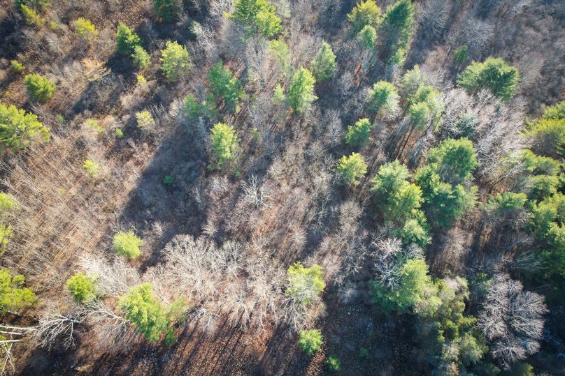 Tioga_30_Zeuner photo 43