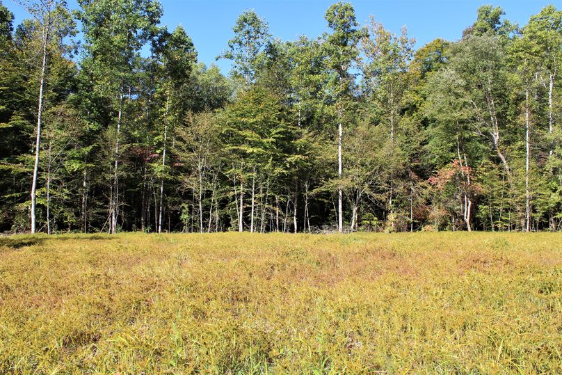 012 open flat area near the entrance of the property