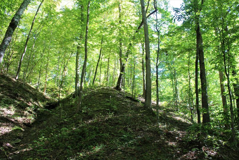 018 a shaded knob along the main valley creek