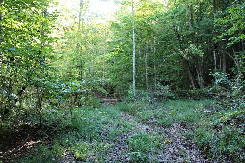 006 some of the trail network down the center of the valley